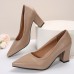 Women Fashion Plus Size Matte Pu Point Toe Chunky Heel Pumps